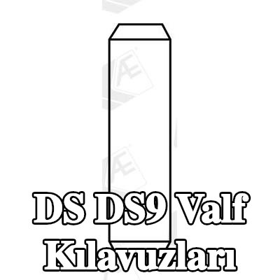 AE Valf Kılavuzları — DS Ds9