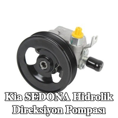 ABAKUS Hidrolik direksiyon pompası — 2000 Kia Sedona