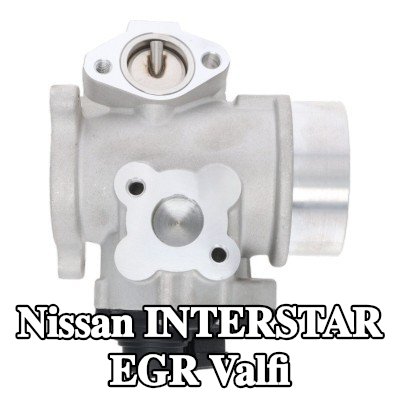 VALEO Contalı/sızdırmazlık elemanlı EGR valfi — Nissan Interstar