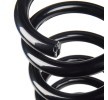 SACHS Helezon yay — Chevrolet Captiva (3)