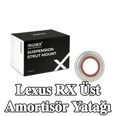 RIDEX Üst amortisör yatağı Ön Aks — 2012 Lexus Rx