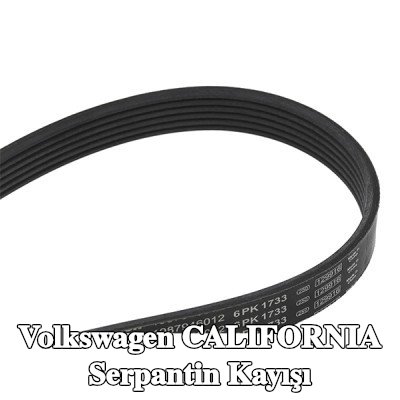 BOSCH Serpantin kayışı 1733mm, Number of ribs: 6 — Volkswagen California