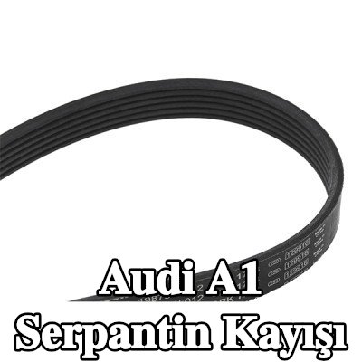 BOSCH Serpantin kayışı 1733mm, Number of ribs: 6 — 2012 Audi A1