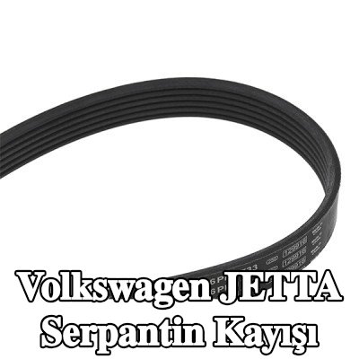 BOSCH Serpantin kayışı 1733mm, Number of ribs: 6 — Volkswagen Jetta