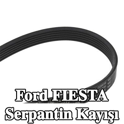 BOSCH Serpantin kayışı 1733mm, Number of ribs: 6 — 2003 Ford Fiesta