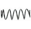SACHS Helezon yay — 2002 Ford Fiesta (4)
