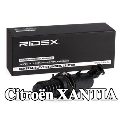 RIDEX أسطوانة تابعة متحدة المركز للأمام — Citroën Xantia