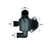 MAHLE Termostat 87°C, contalı/sızdırmaz — Volkswagen Amarok (1)