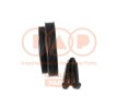 IAP QUALITY PARTS Kayış Kasnağı Seti, krank mili — Ford Transit Custom (3)