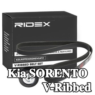 RIDEX مجموعة أحزمة V-Ribbed — 2002 Kia Sorento