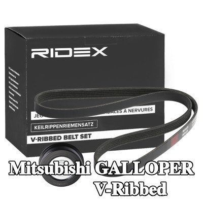 RIDEX مجموعة أحزمة V-Ribbed — Mitsubishi Galloper