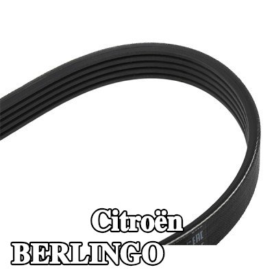 BOSCH حزام سيربنتين 813mm, Number of ribs: 5 — 2011 Citroën Berlingo