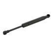 FEBI BILSTEIN Bagaj kapağı amortisörü (Her iki taraf), 216mm — BMW Z3 (1)