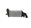 NRF Intercooler — 1998 Opel Astra (1)