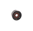 SKF Saptırma / kılavuz kasnağı, V-ribbed belt Ø: 76mm — Hyundai Porter (5)