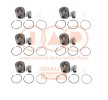 IAP QUALITY PARTS Piston segmanlı piston — 2011 Citroën C6 (1)