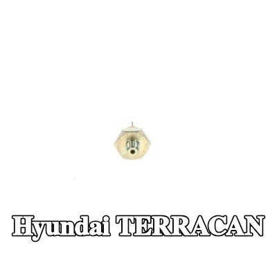 BOSCH مفتاح ضغط الزيت — Hyundai Terracan
