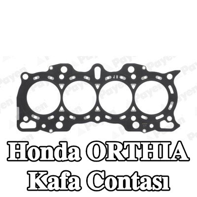 PAYEN Kafa contası — Honda Orthia