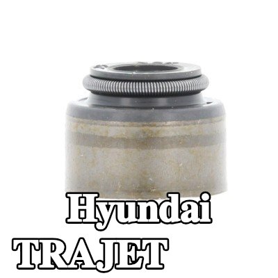CORTECO حشية صمام — Hyundai Trajet