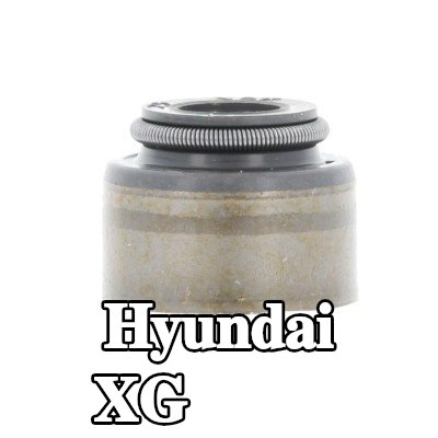 CORTECO حشية صمام — Hyundai Xg