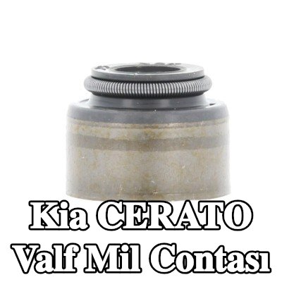CORTECO Valf mil contası — 2004 Kia Cerato