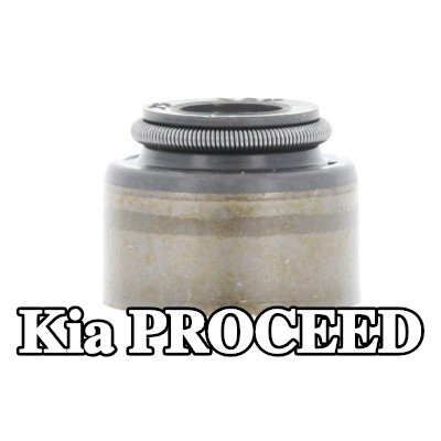 CORTECO حشية صمام — 2012 Kia Proceed