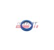 FAST Conta / Contası, yağ çubuğu — Ford Tourneo Connect (2)