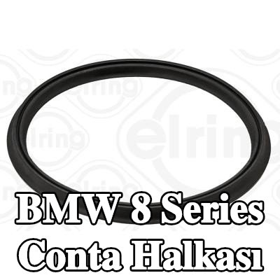 ELRING Conta halkası — 2018 BMW 8 Series
