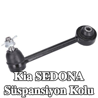 FEBI BILSTEIN Arka Aks Sol Süspansiyon Kolu, Çelik, bilyeli mafsal ile, taç somun ve çatal pimli — Kia Sedona