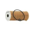 RIDEX Filtre kiti — Mercedes-Benz Vaneo (4)
