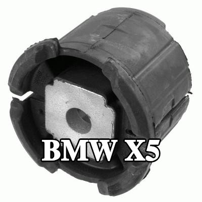 LEMFÖRDER التركيب، دعامة المحور — 2012 BMW X5
