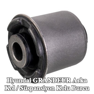 FEBI BILSTEIN Arka kol / Süspansiyon kolu burcu Ön Aks Sol, Ön Aks Sağ — 2009 Hyundai Grandeur