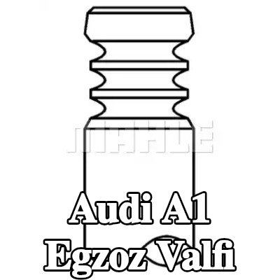 MAHLE Egzoz valfi, egzoz tarafı, Zırhlı valf yuvası, Sodyum dolgulu — 2012 Audi A1