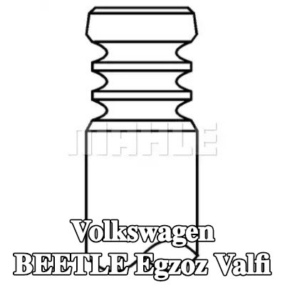 MAHLE Egzoz valfi, egzoz tarafı, Zırhlı valf yuvası, Sodyum dolgulu — Volkswagen Beetle