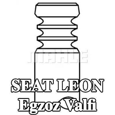 MAHLE Egzoz valfi, egzoz tarafı, Zırhlı valf yuvası, Sodyum dolgulu — 2012 SEAT Leon