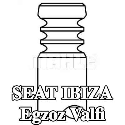 MAHLE Egzoz valfi, egzoz tarafı, Zırhlı valf yuvası, Sodyum dolgulu — 2012 SEAT Ibiza