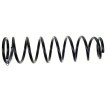SACHS Helezon yay — 1997 Honda Civic (2)