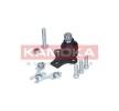 KAMOKA Ön aks rotili, Alt, 19mm, cıvata/vida ile — 2000 Volkswagen Passat (7)