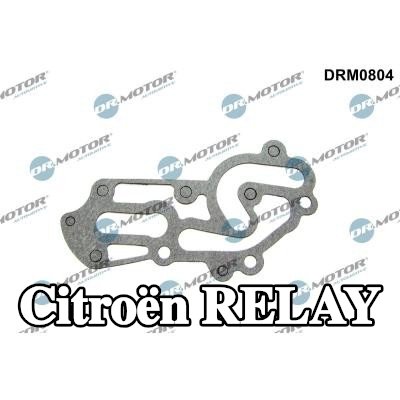 DR.MOTOR AUTOMOTIVE حشية غطاء فلتر الزيت — Citroën Relay