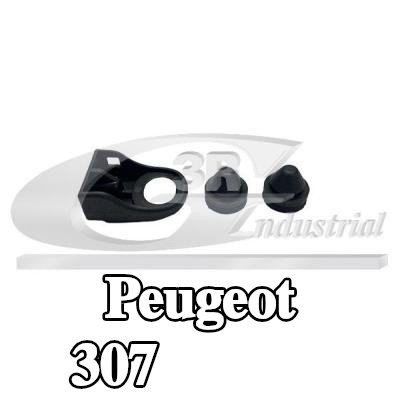 3RG حامل المبرد — Peugeot 307