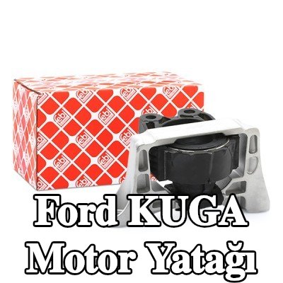 FEBI BILSTEIN Motor yatağı Sağ — Ford Kuga