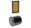 RIDEX PLUS Filtre kiti — Nissan Maxima (1)