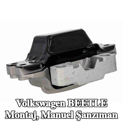 VAICO Montaj, manuel şanzıman Sol — Volkswagen Beetle