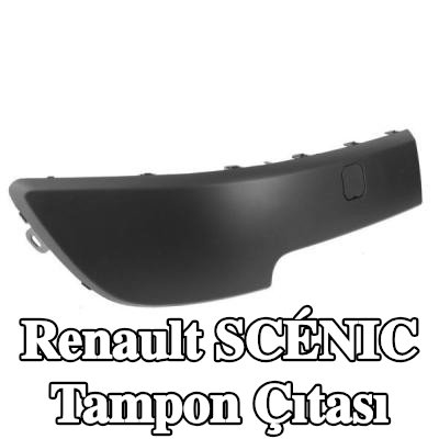 BLIC Tampon çıtası Sağ Ön — 2003 Renault Scénic