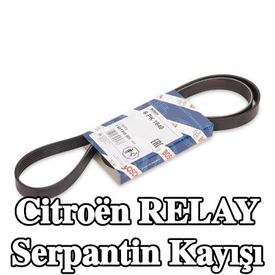 BOSCH Serpantin kayışı 1640mm, Number of ribs: 6 — Citroën Relay