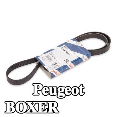 BOSCH حزام سيربنتين 1640mm, Number of ribs: 6 — Peugeot Boxer