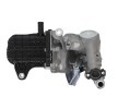 VALEO EGR soğutuculu EGR Modülü, conta/sızdırmazlık elemanları ile, vakum baypaslı — Peugeot Boxer (3)