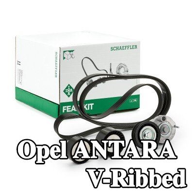 INA مجموعة أحزمة V-Ribbed — Opel Antara