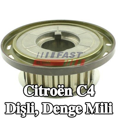 FAST Dişli, denge mili — Citroën C4