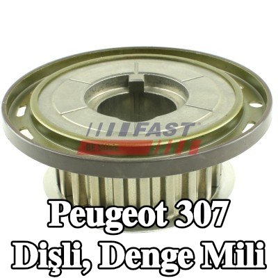 FAST Dişli, denge mili — Peugeot 307